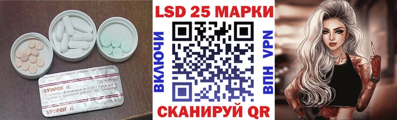дарк нет какой сайт  Новороссийск  LSD-25 экстази кислота 