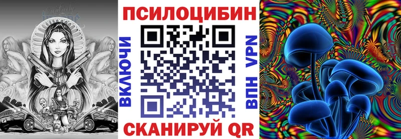Галлюциногенные грибы мицелий  Новороссийск 